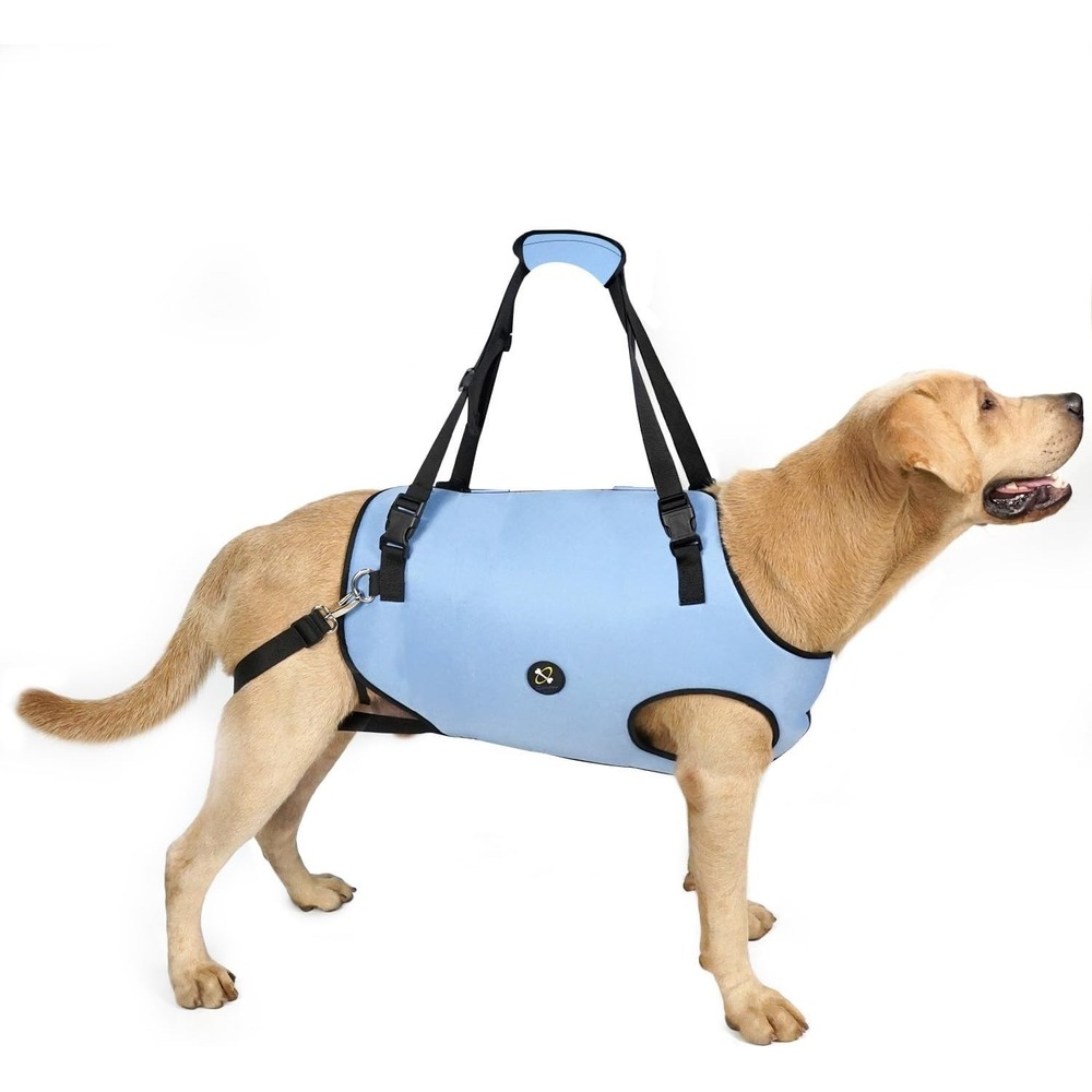 Coodeo Pet Support Harness Small Blue Lift Sling for Weak or Disabled Dogs